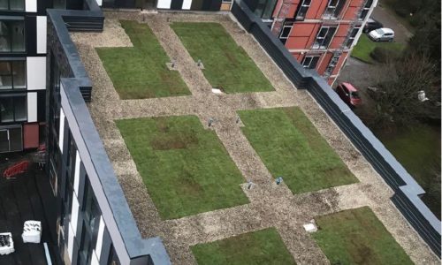 Downtown Manchester Apartments Green Roof